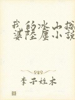 我的冰山总裁老婆陆尘小说