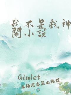 我不是戏神笔趣阁小说