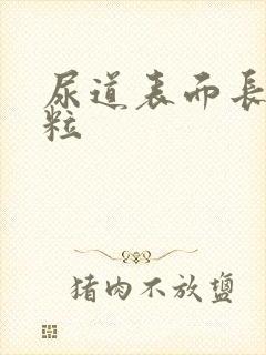 尿道表面长小肉粒