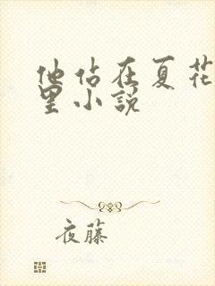 他站在夏花绚烂里小说