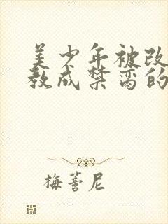 美少年被改造调教成禁脔的小说推荐