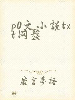 p0文小说txt网盘
