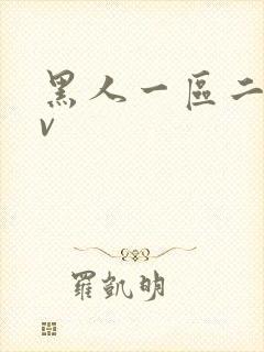 黑人一区二区av