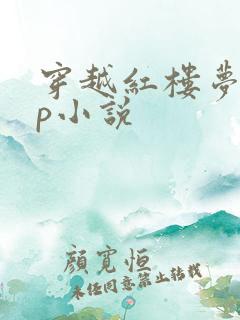 穿越红楼梦无cp小说