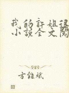 我的许姐很温柔小说全文阅读