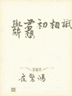 与君初相识如你所想