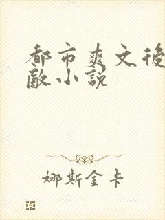 都市爽文后宫无敌小说