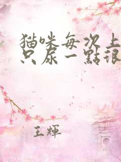 猫咪每次上厕所只尿一点很频繁