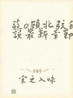 苏o顾北弦的小说最新章节免费阅读