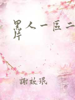 黑人一区二区毛片