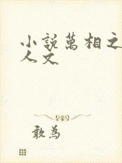 小说万相之王同人文