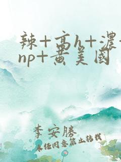 辣+高h+浓+np+黄美国