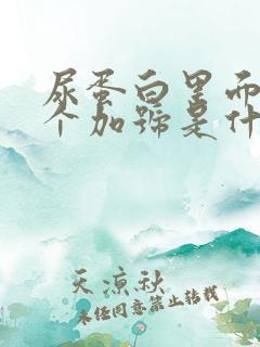 尿蛋白里面有一个加号是什么意思