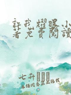 许我耀眼小说原著免费阅读