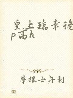 皇上临幸后宫np高h