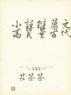 小说推荐文笔好高质量古代言情