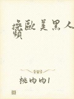 操欧美黑人逼视频