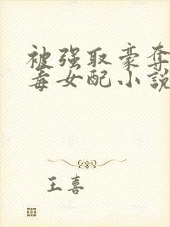 被强取豪夺的恶毒女配小说