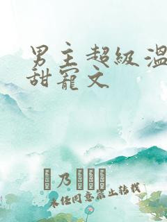 男主超级温柔的甜宠文