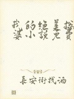 我的绝美总裁老婆小说免费