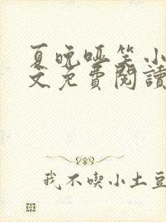 夏晚哑笑小说全文免费阅读最新章节