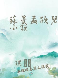 苏晨孟欣儿原著小说