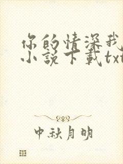 你的情深我不配小说下载txt