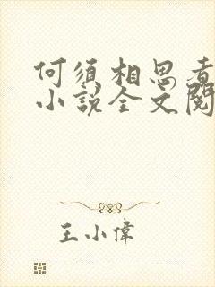 何须相思煮余年小说全文阅读免费