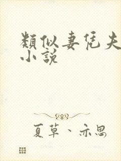 类似妻凭夫贵的小说
