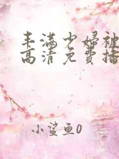 丰满少妇被猛烈高清免费播放