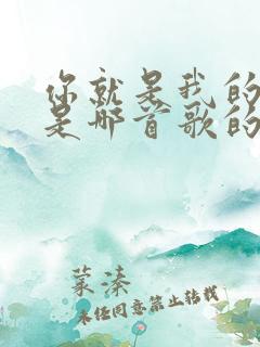 你就是我的唯一是哪首歌的歌词