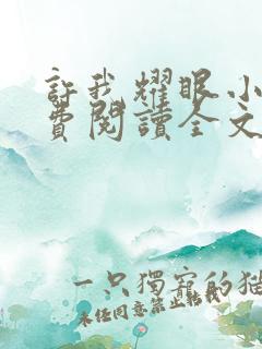 许我耀眼小说免费阅读全文最新章节