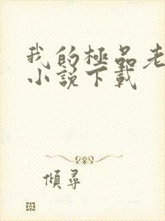 我的极品老婆 小说下载