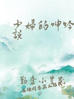 少妇的呻吟 小说