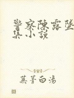 警察陈露坠落续集小说