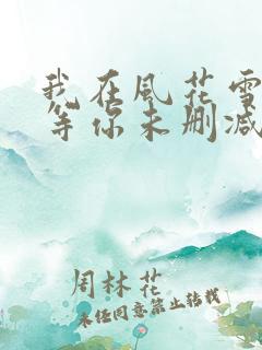 我在风花雪月里等你未删减