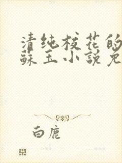 清纯校花的日常苏玉小说免费阅读最