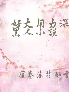 好大用力深一点黑人小说