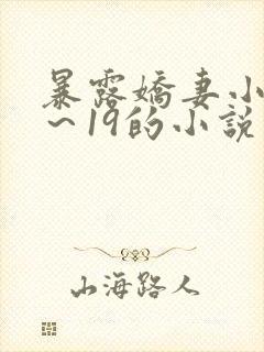 暴露娇妻小婷1～19的小说