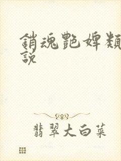 销魂艳婢类似小说