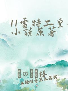 11处特工皇妃小说原著