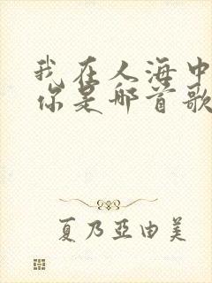 我在人海中遇见你是哪首歌的歌词