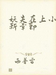 妖夫在上小说最新章节