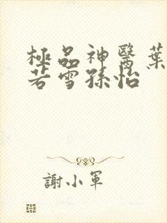 极品神医叶辰夏若雪孙怡