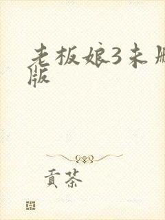老板娘3未删减版