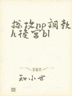 总攻np调教高h后宫bl