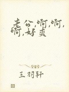 老公,啊,啊,啊,好爽