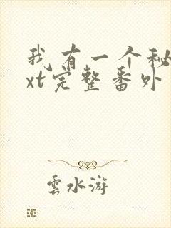 我有一个秘密txt完整番外