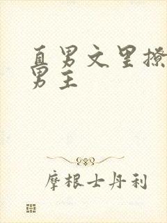 直男文里撩言情男主