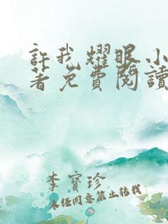 许我耀眼小说原著免费阅读